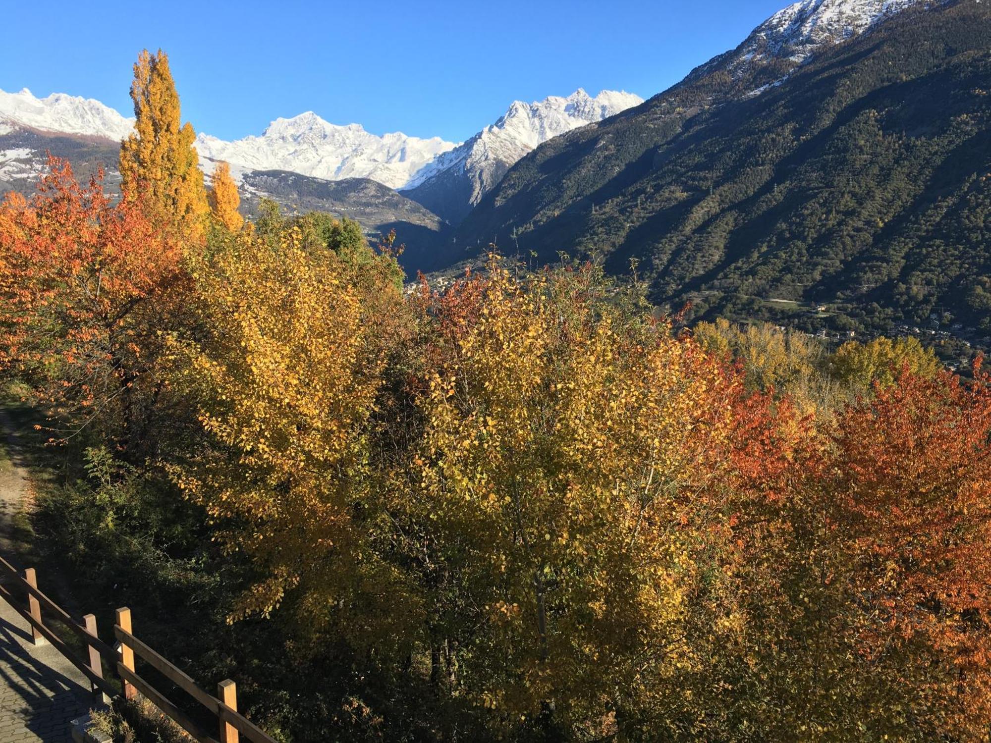 La Casa Del Bosco Aosta Exterior foto